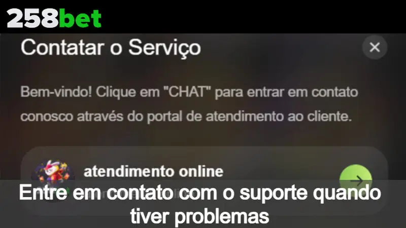 Entre em contato com o suporte quando tiver problemas